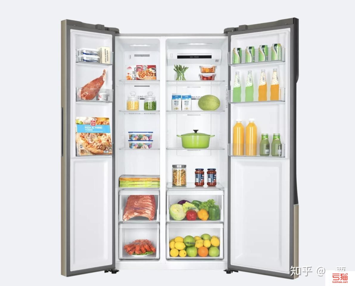 对开门冰箱哪个牌子好-对开门冰箱十大排名